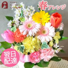 �t����A�����W�u�����v  �a���� �v���[���g ���� �ޏ� �� �F�B �� �M�t�g �o�����^�C�� �z���C�g�f�[ �L�O�� �����j�� �o�Y�j�� �a���� 