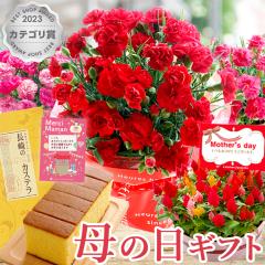 �������{���I ��̓� �ԂƃZ�b�g �M�t�g �v���[���g �ԂƃX�C�[�c �I�ׂ� �Ԕ����X�C�[�c�Z�b�g ��̓��v���[���g �ԃM�t�g �J�[�l�[�V��