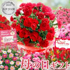 �������{���I ��̓� �M�t�g �I�ׂ��̓��Ԕ� ��̓� �v���[���g �� �J�[�l�[�V����  �P�C�g�E �}�[�K���b�g �Ԕ�  ���A�� ���������i��