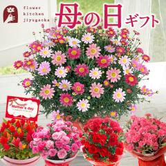 �������{���I ��̓� �M�t�g �I�ׂ��̓��Ԕ� ��̓� �v���[���g �� �J�[�l�[�V����  �P�C�g�E �}�[�K���b�g �Ԕ�  ���A�� ���������i��