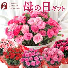 �������{���I ��̓� �M�t�g �i��őI�ׂ�J�[�l�[�V���� ��̓� �v���[���g �� �M�t�g  �J�[�l�[�V����  �Ԕ�  ���A�� ���������i�ꕔ�n