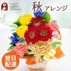 �y�H����z�����˃A�����W�{�s�b�N  ���Ԃ̃A�����W�����g �a���� �L�O�� ���j��  �v���[���g �M�t�g FKAA