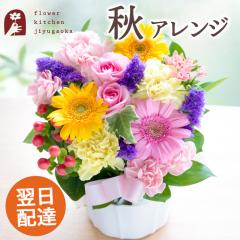 �y�H����z�H�F�~�b�N�X�A�����W�����g�{�s�b�N  ���Ԃ̃A�����W�����g �a���� �L�O�� ���j�� �h�V�̓� �v���[���g �M�t�g FKAA