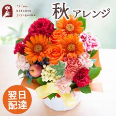 �y�H����z�I�[�^���A�����W�{�s�b�N  ���Ԃ̃A�����W�����g �a���� �L�O�� ���j��  �v���[���g �M�t�g FKAA
