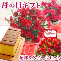 �������{���I ��̓� �ԂƃZ�b�g �M�t�g �v���[���g �ԂƃX�C�[�c �I�ׂ� �Ԕ����X�C�[�c�Z�b�g ��̓��v���[���g �ԃM�t�g �J�[�l�[�V��