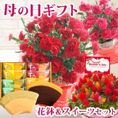 ���������{���I2026��̓� �M�t�g �ԂƃX�C�[�c �v���[���g �J�[�l�[�V�����Ƌ����D���t���[�c�N�[�w�� �X�C�[�c�Z�b�g �ԃM�t�g �J�[