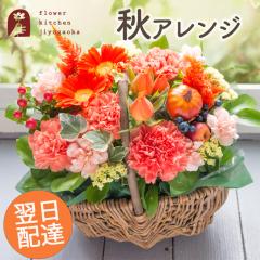 �y�H����z�n�[�x�X�g�o�X�P�b�g�@�G�ߌ���A�����W 2026�@�����z�B FKAA