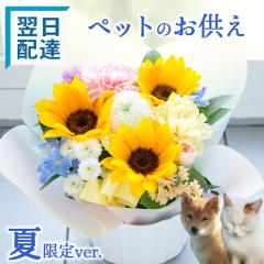 �y�ċG����z�y�b�g�������� �Ђ܂��̃y�b�g�p�������A�����W�u�������A���T�}�[�v ������ �� ���� ���� �y�b�g �t�����[�M�t�g ������