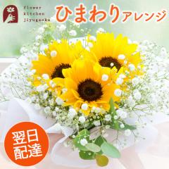 �y�ċG����z �ċ�u�[�P �X�^���h�u�[�P �Ђ܂�� ���Ԃ̃A�����W�����g �a���� �L�O�� ���j�� �v���[���g �M�t�g �@9��1���܂ł̂��͂�