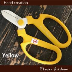 Flower Kitchen IWi ⌹ Ԃ͂݁@@lR|X ܂ 䂤pPbgitwsjԂ͂ F170 CG[ FKRSL