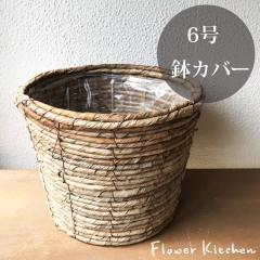 ���J�o�[�@�o�i�i�ۂ����@6���� FKTS