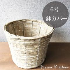 �k���ށl���J�o�[�@�o�i�i�ۂ����@6���� FKTS