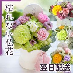 �y�P�i�̔��z�������\�[�v�t�����[�A�����W�w��x �����͂��@���������i�ꕔ�n��������j FKTPO