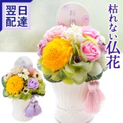 �y�P�i�̔��z�������\�[�v�t�����[�A�����W�w��x �����͂��@���������i�ꕔ�n��������j FKTPO