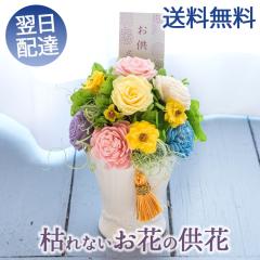 �������v���U�[�u�h�t�����[�u�������A���y�[���v �͂�Ȃ��M�t�g�ԁ@���� FKTPO