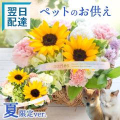 �y�ċG����z�y�b�g�������� �@�o�����o�X�P�b�g ���� �y�b�g �t�����[�M�t�g ������ �����z�� ���b�Z�[�W�J�[�h 9��1���܂ł̂��͂�����