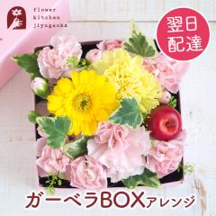  �K�[�x��BOX�A�����W M�T�C�Y �a���� �v���[���g ���� �ޏ� �� �F�B �� �M�t�g �o�����^�C�� �z���C�g�f�[ �L�O�� �����j�� �o�Y�j�� �a