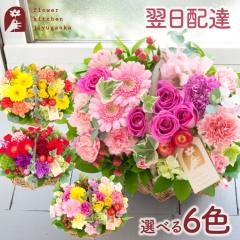 ������ �K�[�x���o�X�P�b�g �t�����[�M�t�g ���� �A�����W�����g�@�����z�B ���b�Z�[�W�J�[�h FKAA