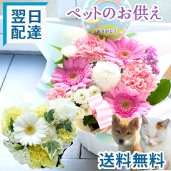 ������ �� �y�b�g�֑��邨�����A�����W �t�����[�M�t�g ������� �A�����W�����g �A�����W ���� ������ �y�b�g��p �����z�B ���b�Z�[�W