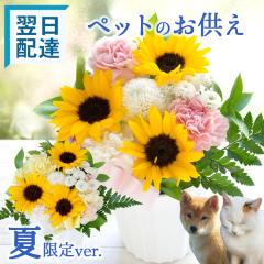 �y�ċG����z�y�b�g�������� �@�Ђ܂��̃y�b�g�p�������A�����W ���� �y�b�g �t�����[�M�t�g ������ �����z�� ���b�Z�[�W�J�[�h 9��1��