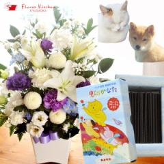 �y�b�g�̂�����  ������ �� �������ƉԂ̃Z�b�g�@�{�̂������A�����WL�T�C�Y�ƃy�b�g��p�������y���̂��Ȃ��z�M�t�g�Z�b�g ���b�Z�[�W�J