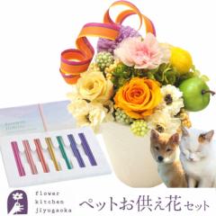 �y�b�g�̂������v���U�[�u�h�t�����[�w���̋��x���y�b�g�������u���C���{�[�����v�Z�b�g  �����͂� ���������i�ꕔ�n��������j FKTPOSE