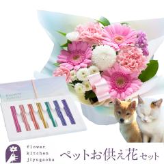 �������� �y�b�g �y�b�g������ ���̋��A�����W���y�b�g�������u���C���{�[�����v�Z�b�g ������ �A�����W ���� ������ ������ �y�b�g��p