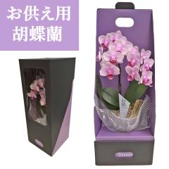 �y�Y�n�����̉ԃM�t�g�z�y�e�[�u���Ӓ��� �������p 2�{�����z �Ŗ��m������ ���������� �t�����[�M�t�g�yA-318�z������ ������� �r��