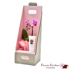 �Y�n�����̉ԃM�t�g�y�}�C�N���Ӓ����A�N�A�|�b�g���� �� �r���[�e�B�[�n���h�N���[���Z�b�g �z �Ŗ��m������ ���������� �t�����[�M�t