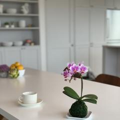 �y�Y�n�����̉ԃM�t�g�z�y�}�C�N���Ӓ��� �ۋ� 1�{���� 3���z�Ŗ��m������ ���������� �t�����[�M�t�g�yA-76�z