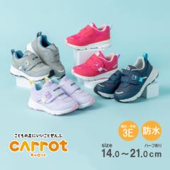 �T�ԕS�I�F�������� ���[���X�^�[ �L�����b�g �q���C �X�j�[�J�[ CR C2375 �`�F���[ �l�C�r�[�@�O���C �p�[�v�� �u�L�����b�g�v���L3E�@