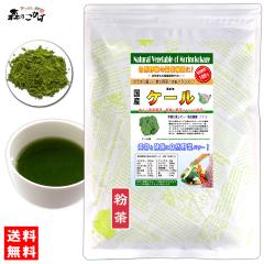 A ���Y �P�[�� �y�����z (80g) �₳�� �p�E�_�[ 100�� �������� �k�C�� ���� �������� �X�̂����� ���₩�n�E�X ��ؕ��� ���[�� ���ؕ�