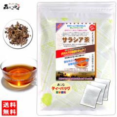 S サラシア茶 (3g×100p) ティーバッグ さらしあ茶 100% サラシア コタラヒム茶 送料無料 北海道 沖縄 離島も可 森のこかげ 健やかハウ