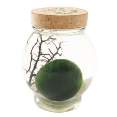 まりも お店のカテゴリ 北国の雑貨屋さん きりりネットショッピング 通販はau Pay マーケット