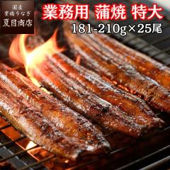 ���Ȃ� ���Y �Ɩ��p���Ȃ����Ă� �����w�J�� ����(1����181-210g�~25��) �L�����Ȃ� �E�i�M �V �������� ������ �h�V�̓� ���������� �c
