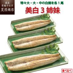 Ȃ Y Ro Ȃ Ă XEE e1 Hה i4lOj ≖t LȂ EiM V  ۑH 