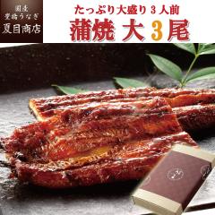 Ε Mtg Ȃ Y 蕨p Ă 155-167g~3 TCY 吷3lO  LȂ Ε NX}X v[g 