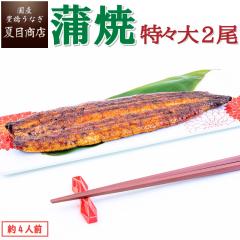 ���Ȃ� ���Y ���Ă� ���X��211-249g�~2�� ��4�l�O �L�����Ȃ� �E�i�M �V �������� �ۑ��H ���H ������ �h�V�̓� ���������� �c��������