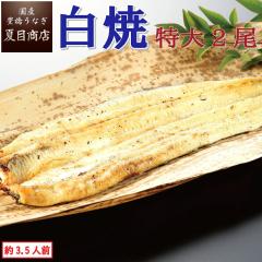 ���Ȃ� ���Y ���Ă� ����181-210g�~2�� ��3.5�l�O �≖�t �L�����Ȃ� �E�i�M �V �������� �ۑ��H ���H ������ �h�V�̓� ���������� �c