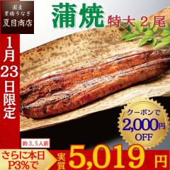 �{������ �N�[�|��&P3%�Ŏ���5,019�~ ���Ȃ� ���Y ���Ă� ����181-210g�~2�� ��3.5�l�O �L�����Ȃ� �E�i�M �V �������� �ۑ��H ���H ��