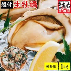 お刺身 かき カキ 牡蠣 国産 殻付き牡蠣1kg前後(12粒入)※高圧処理済みで殻むき簡単!送料無料 ギフト 応援 食品 プレゼント 生牡蠣 生カ