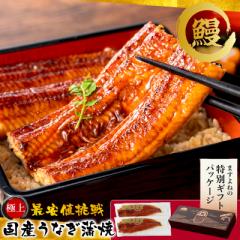 お中元 ギフト クーポンで★5480円【限定ギフト箱仕様】 国産 うなぎ 極上うなぎ蒲焼2本セット 165g前後×2本 2-4人前 タレ/山椒付き の
