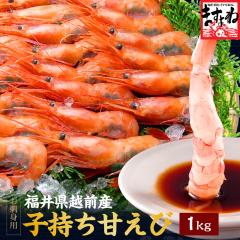 ���� �G�r �C�V ���Y���ō��N�x�I���h�g�p ���{�C�Y�q�����Â���1kg 500g�~2 ��70��-80���� �������� �h�g �C�N ���� �G�r ���܂��� �A�}