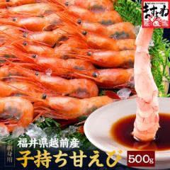 ギフト えび エビ 海老 お刺身OK 日本海産子持ち甘えび500g※約35尾-40尾入 送料無料 あまえび アマエビ 甘海老 甘エビ のし可 ギフト