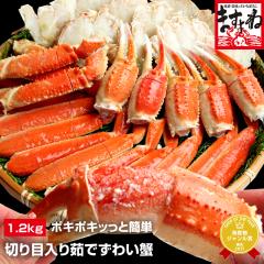 ���� �J�j �I �؂�ړ��� �J�b�g�ς� �{�C���{���킢�I1.2kg(���d��1.6kg) �������� ���킢���� �Y���C�K�j �Y���C ���킢 �̂��� ���Ε�