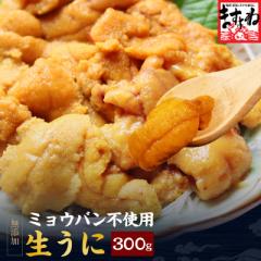 濃厚な旨味 完全無添加 ミョウバン不使用 生うに300g(100p×3パック) 送料無料 ※ブランチング処理 うに ウニ 雲丹