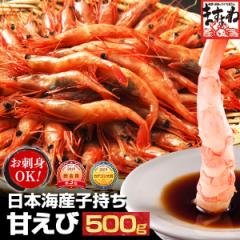 ギフト えび エビ 海老 お刺身OK 日本海産子持ち甘えび500g※約35尾-40尾入 送料無料 あまえび アマエビ 甘海老 甘エビ のし可 ギフト