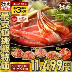  Jj I e ő3kgbNzt11,499~ Mtg hg Jj Iׂ ɏジ킢I Jbgς |[V I