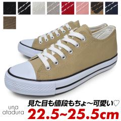 Xj[J[ fB[X   50 40 uh   30 23cm 24cm 25cm  F  60 Jt LoX C x[W