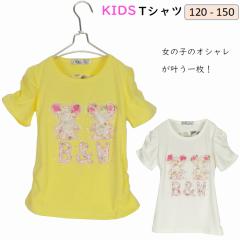 �q�� �s�V���c ���̎q ���� �q���s�V���c �q���� �t���� �����V���c ������� �����q����